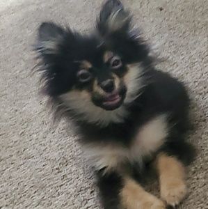 Meet your Posher, Cesilia